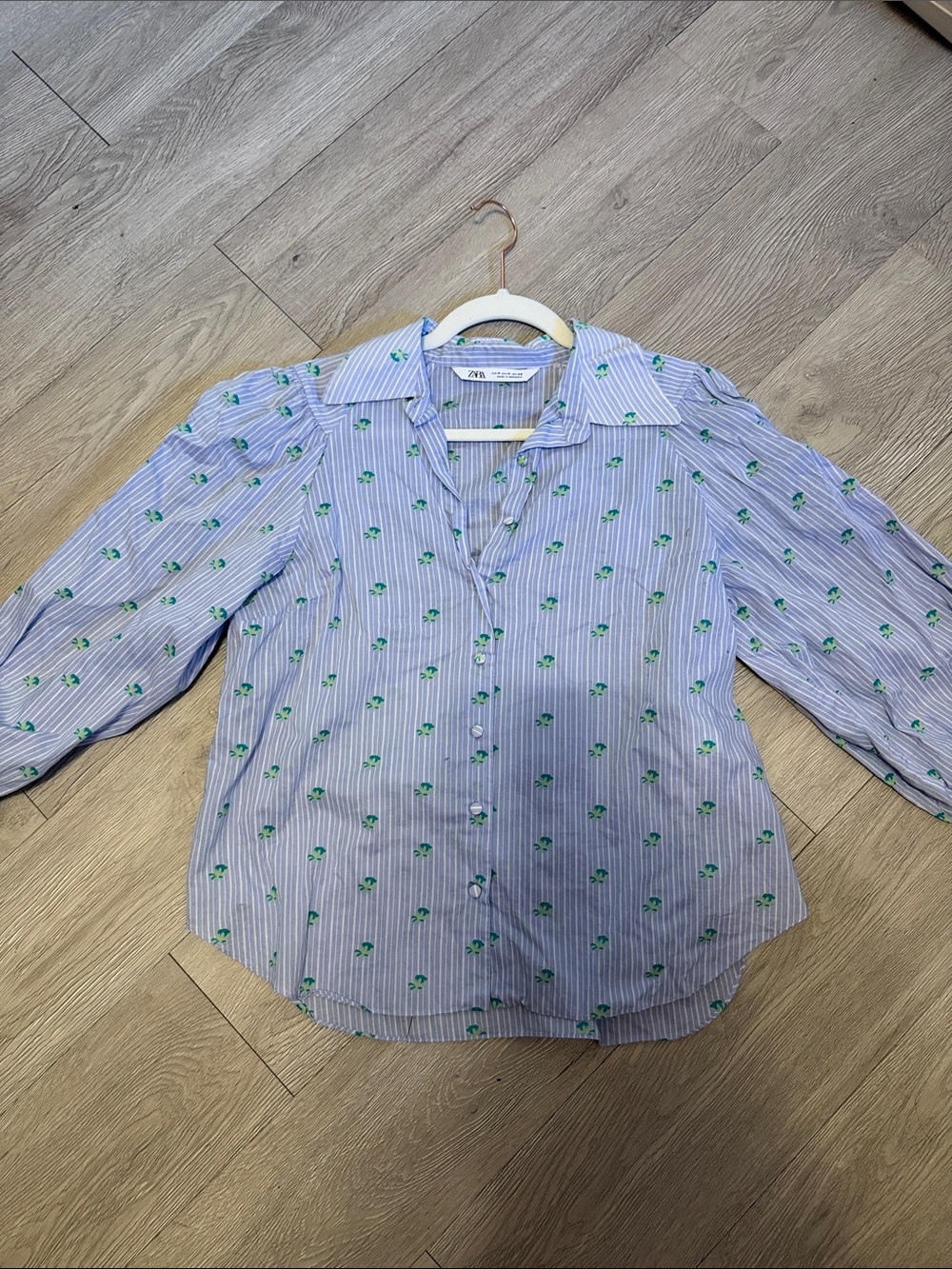 Zara Light Blue and Green Striped Floral Shirt